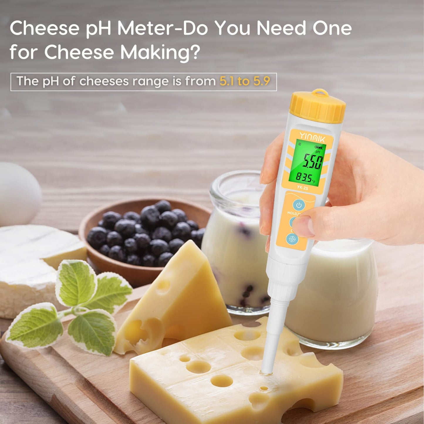 Digital pH Meter for Fermentation