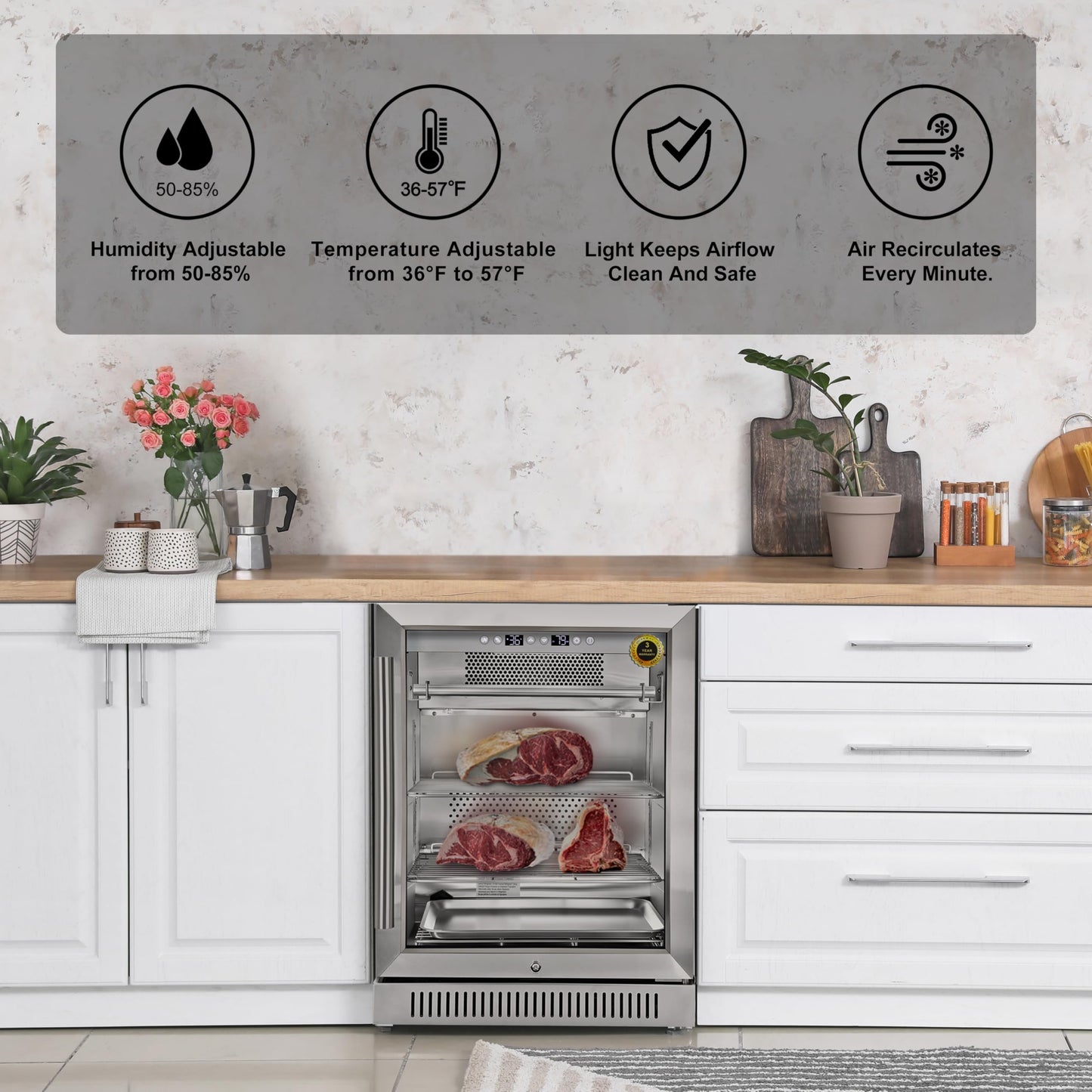 Dry Aging Fridge